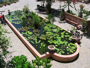 Botanic Garden Puerto Vallarta (58)