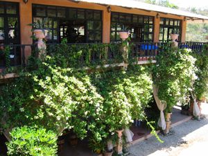 Botanic Garden Puerto Vallarta (60)