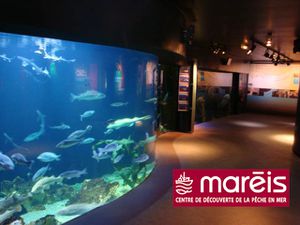 Aquarium-site-Uca.jpg