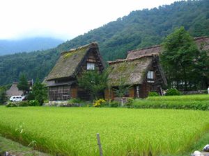 photos-jerome-2-101.jpg