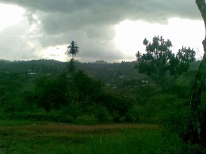 20112009-033-.jpg