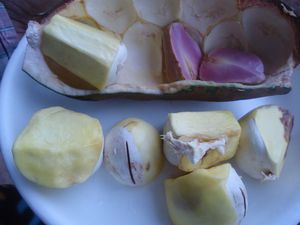 DSC00075.JPG
