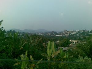 08012010(006)