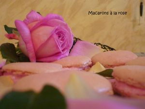 Macarons.jpg