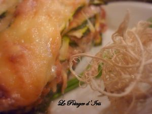 courgettes1.jpg
