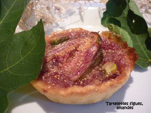 Figues1.jpg