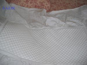 DSCF0242