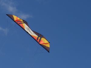 P2280789bis