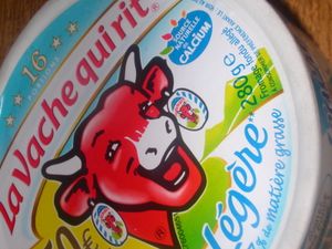 017-copie-1.JPG