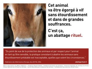 4X3-abattage-rituel.jpg