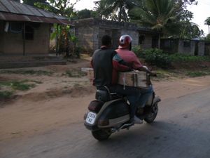 VESPA1