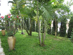 alain-toffee-thai-bangkaew10.jpg