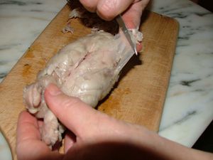 DSCF9754.JPG