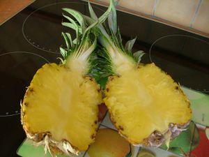 DSCF1103.JPG