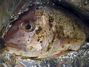 chermoula-snapper-2.jpg