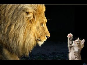 dialoguons ensemble...