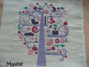 mon arbre fin malele 003 [640x480]