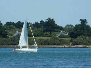 golfe morbihan