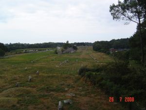 DSC01196