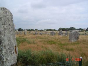 DSC01201