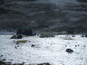 Huaraz-CordilleraHuayuash-mayo2007 (57)