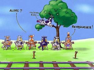 train-vache-senegal.jpg