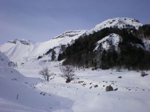 Luge
