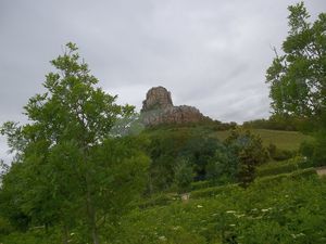 Excurtion a Macon (7)