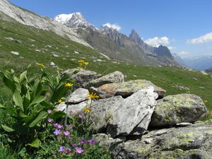 2010-07-13 Amuse Travel J3 15