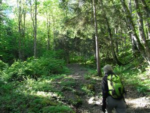 2011-05-17 Lachat 01