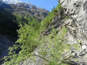 2011-05-17 Lachat 02