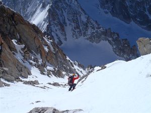 2011-04-20 chardonnet 06
