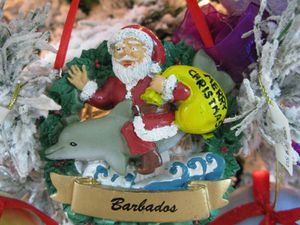 IMG_2479.JPG