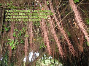 IMG_2574.JPG