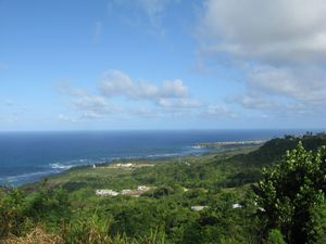 IMG_2600.JPG