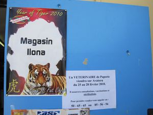 IMG_2725.JPG