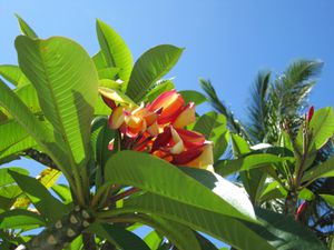 IMG_2742.JPG