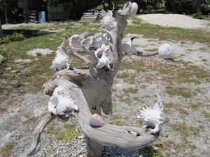 IMG_2775.JPG