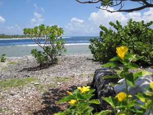 IMG_2776.JPG