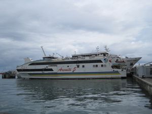 IMG_2858.JPG