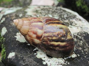 IMG_2915.JPG