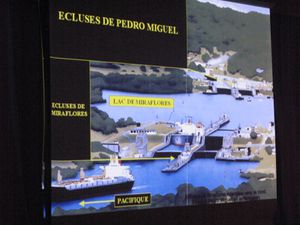IMG_5943.JPG