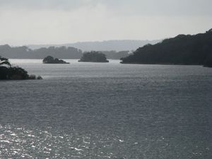 IMG_6578.JPG