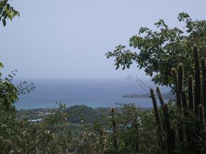 Martinique3 026-2