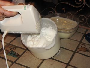 IMG 0095