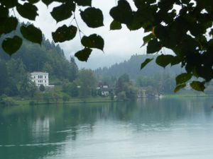 366 - Lac de Bled