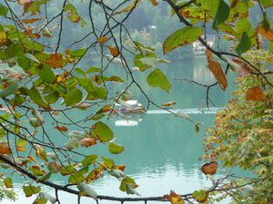 384 - Lac de Bled
