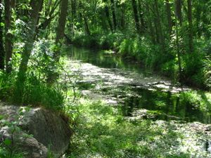 2010.06.10 Sentier le long de la Drôme2