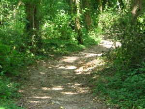 2010.06.10 Sentier le long de la Drôme7