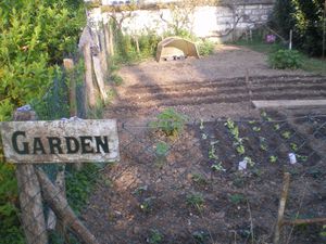 jardin-004.JPG